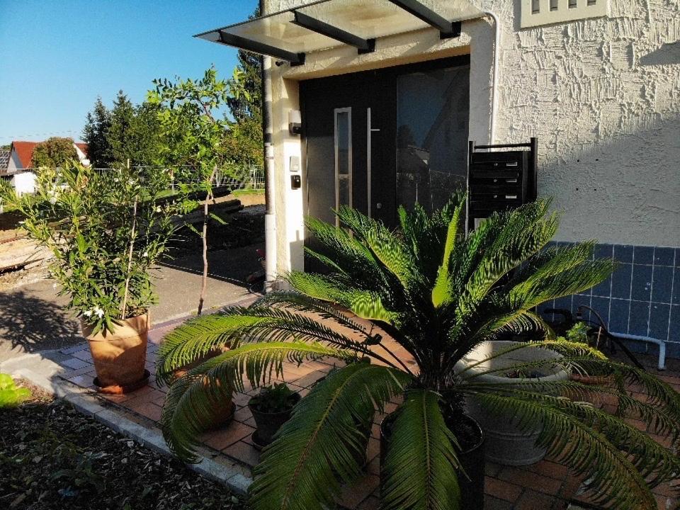 Sonnige 3 Zimmer Wohnung Mit Schoenem Balkon Im Gruenen Reutlingen Eksteriør bilde